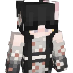 xaisuo