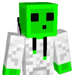 xakk712 Minecraft avatar bust