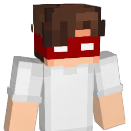 xandeco_ Minecraft avatar bust