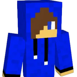 xavier1100 Minecraft avatar bust