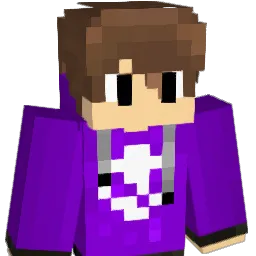 xavii143 Minecraft avatar bust