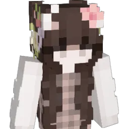xbox1225 Minecraft avatar bust