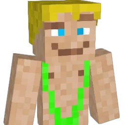 xd_AgentPoes Minecraft avatar bust
