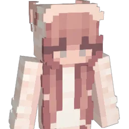 xd_JiaRui Minecraft avatar bust