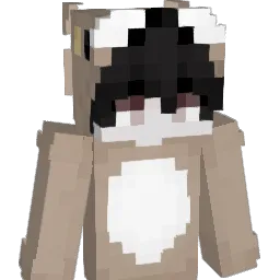 xdr2's Minecraft skin