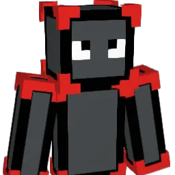 xer_RRAIDRR