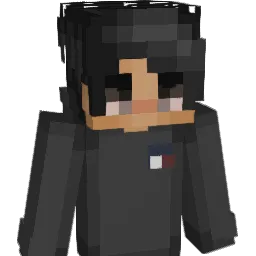 xflvsm Minecraft avatar bust