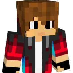 xgwebb1 Minecraft avatar bust