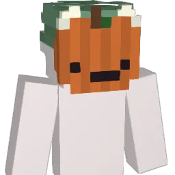 xhfltnv Minecraft avatar bust