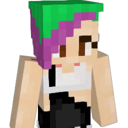 xhikr1 Minecraft avatar bust