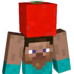 xiaolin250's Minecraft skin