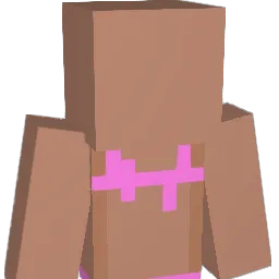 xidaxMC Minecraft avatar bust