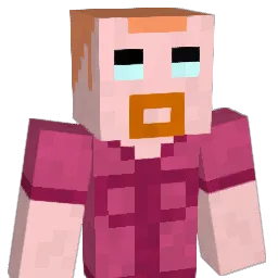 xidlbix Minecraft avatar bust