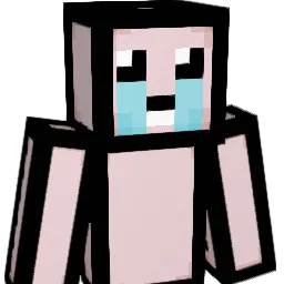 ximelll
