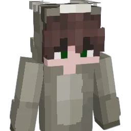 xjusdrein Minecraft avatar bust