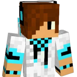 xkilleurx76 Minecraft avatar bust
