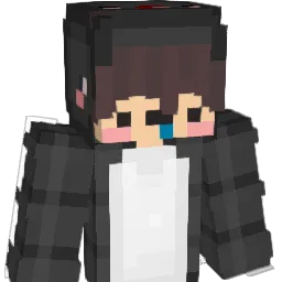 xleCrafter_TV Minecraft avatar bust