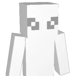 xm20 Minecraft avatar bust