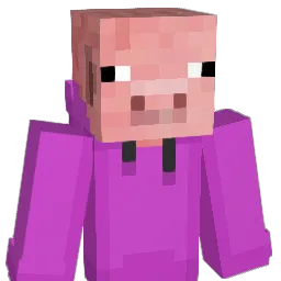 xoNOAHox Minecraft avatar bust