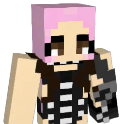 xqsekx Minecraft avatar bust
