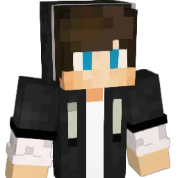 xsdny Minecraft avatar bust