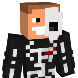 xsebooo206 Minecraft avatar bust