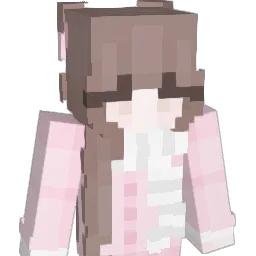 xskin