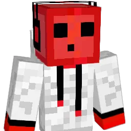 xsolarusx Minecraft avatar bust