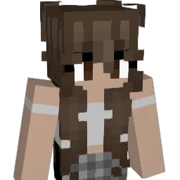 xxHeat Minecraft avatar bust