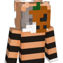 xytxx Minecraft avatar bust