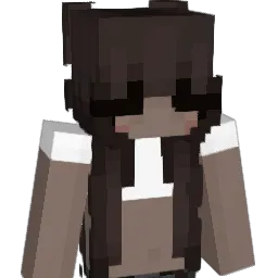 xzcvbnm Minecraft avatar bust