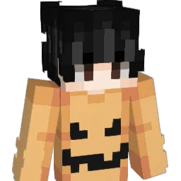 xzv56 Minecraft avatar bust