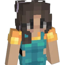 y5r6 Minecraft avatar bust