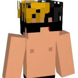 yApolloo Minecraft avatar bust