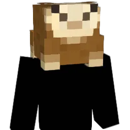 yLlamas Minecraft avatar bust