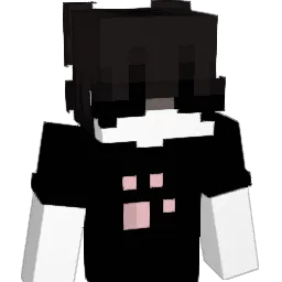 yLwcasy Minecraft avatar bust