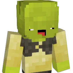y___y Minecraft avatar bust