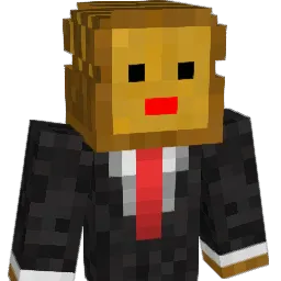 ybs0513 Minecraft avatar bust