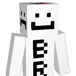 yems248 Minecraft avatar bust