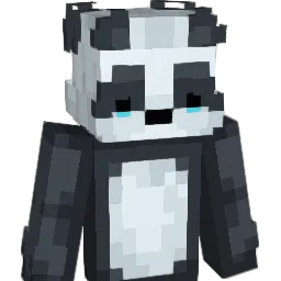 yeracity's Minecraft skin