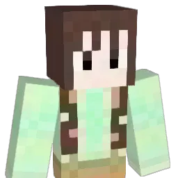 yes1009 Minecraft avatar bust