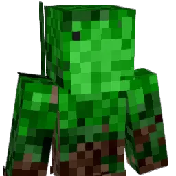 yllaw4 Minecraft avatar bust