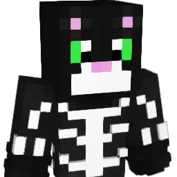yoavinios135 Minecraft avatar bust