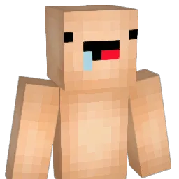 you_wott Minecraft avatar bust