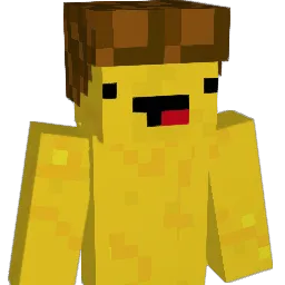 yourface18 Minecraft avatar bust