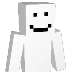 ys8339 Minecraft avatar bust