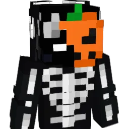 yshinuia_ Minecraft avatar bust