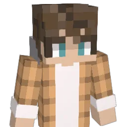 yt_flips