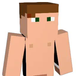 yungtyko Minecraft avatar bust