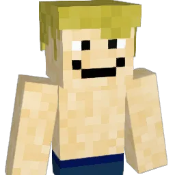 yunguser1 Minecraft avatar bust